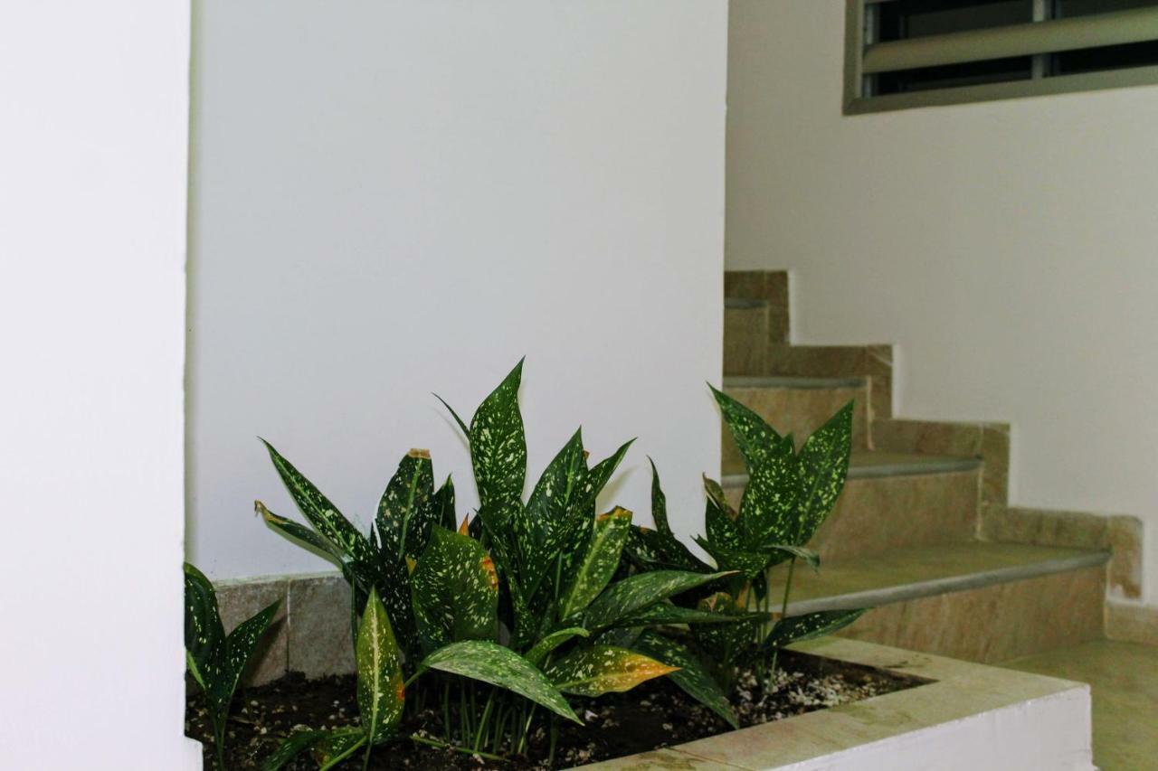 D Rio Apartamentos Ріоача Екстер'єр фото